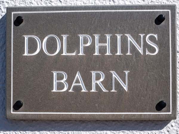 Dolphin's Barn