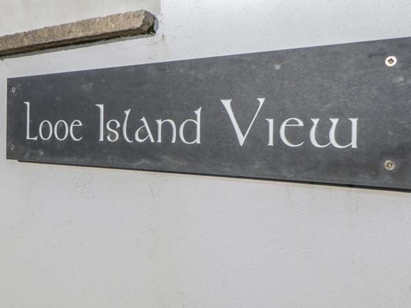 Looe Island View